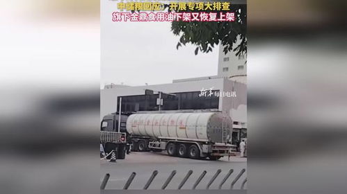 食用油安全風波再起 中儲糧金鼎疑遭污染，官方緊急行動凸顯行業隱憂