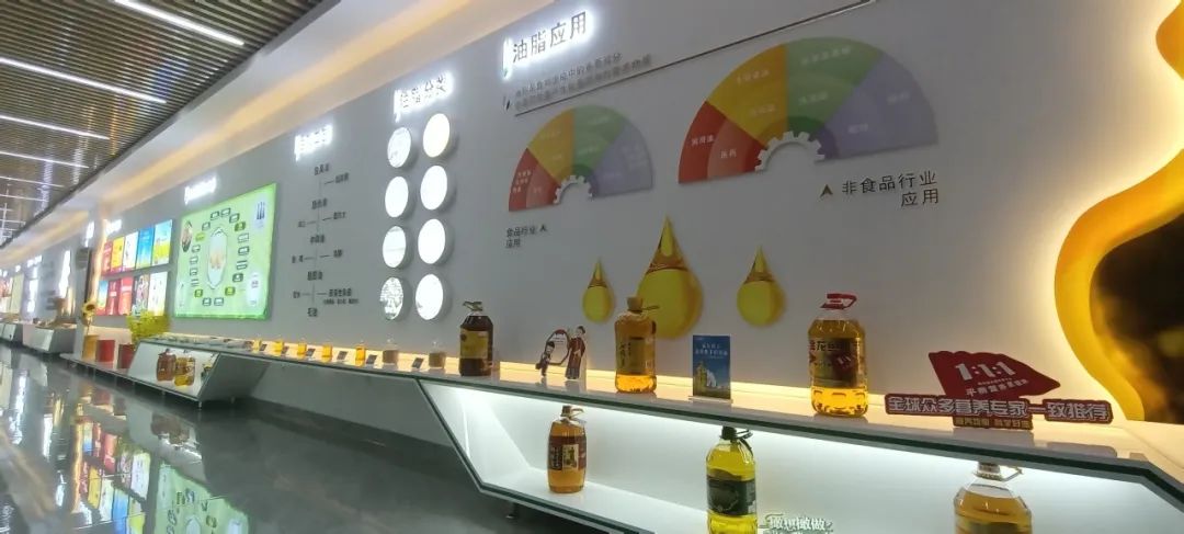 消費者親探益海嘉里金龍魚工廠 開啟安全健康之旅，探尋放心食用油的奧秘